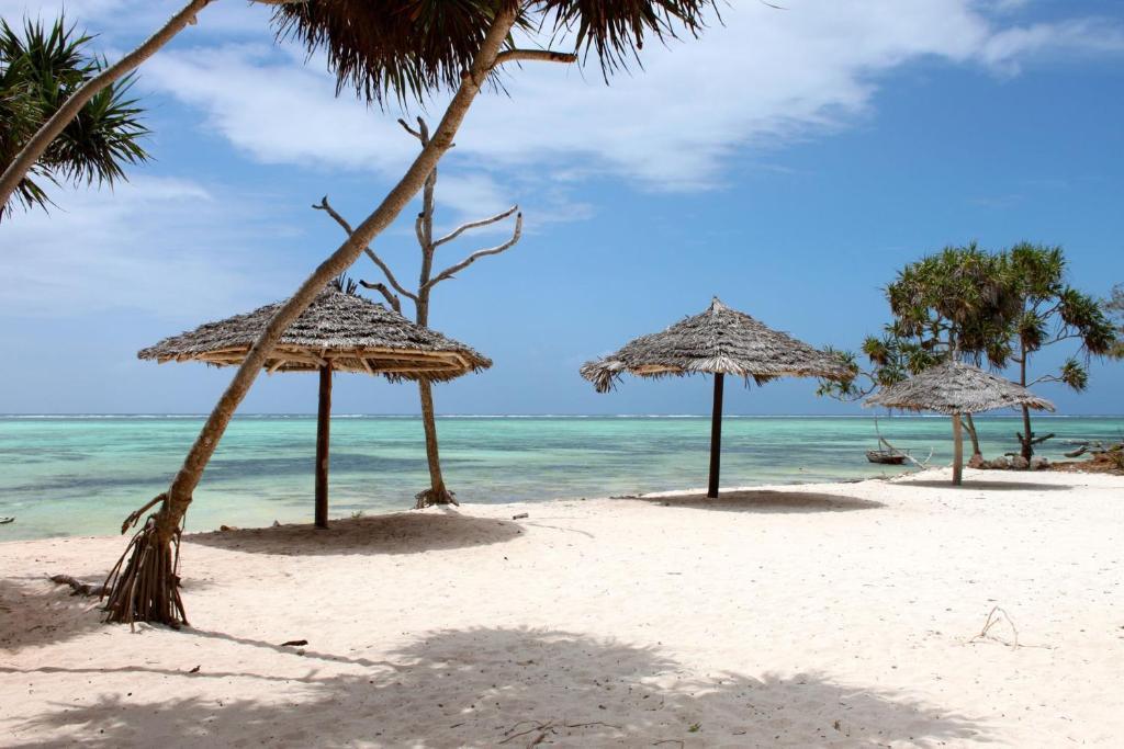 Nest Style Beach Hotel Zanzibar Makunduchi Buitenkant foto
