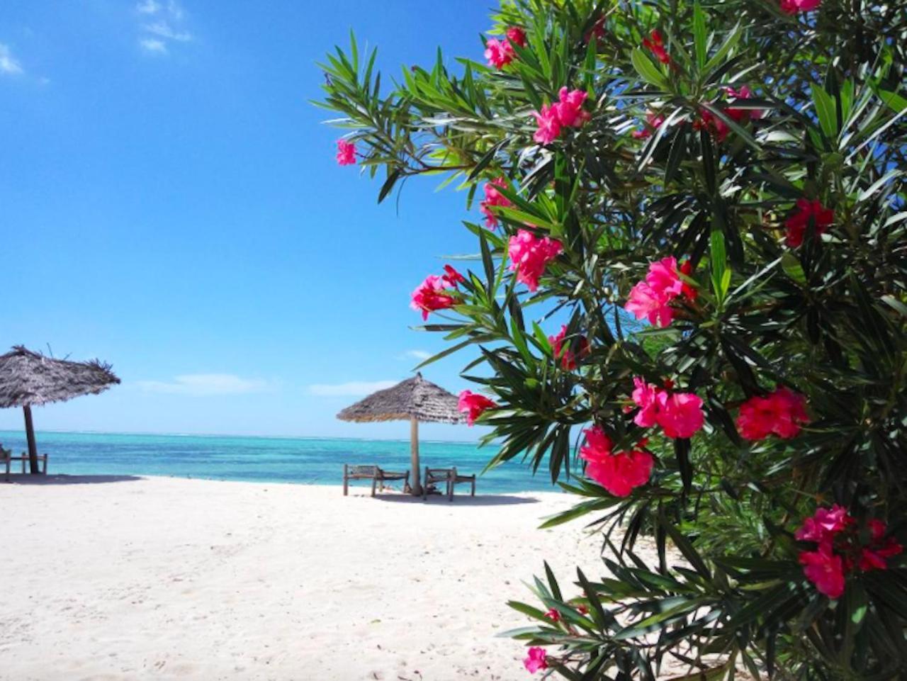 Nest Style Beach Hotel Zanzibar Makunduchi Buitenkant foto